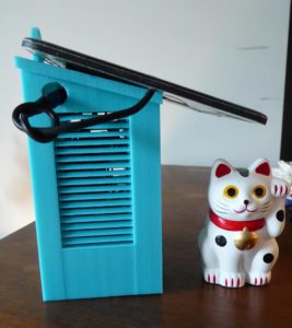 Weather Station & Cat-Side View